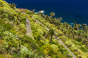 Rambla de Castro Tenerife