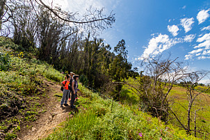 Hiking near Fontanales