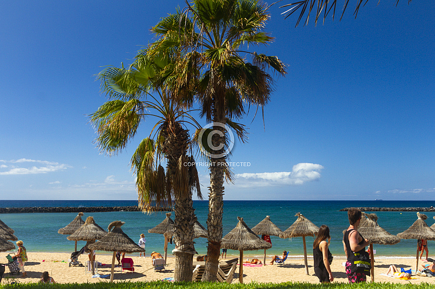 Tenerife: Playa Camison