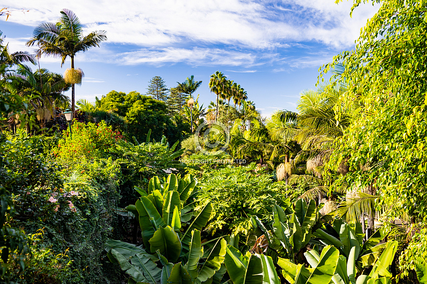 Jardín de la Marquesa - Gran Canaria