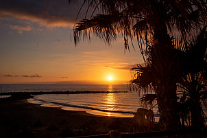 Playa de El Bobo y Troya - Tenerife