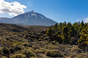 Centro de Visitantes de El Portillo Parque Nacional del Teide - Jardín Botánico - Tenerife