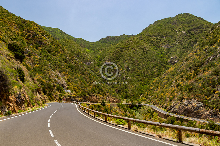 On the road near Las Rosas - La Gomera
