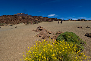 Cañadas del Teide - Tenerife