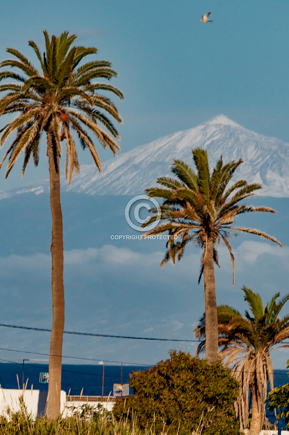 Snowcapped Teide (Tenerife) from Agaete