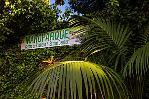 Maroparque - La Palma