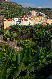 Tazacorte - La Palma