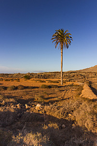 Malpais de la Arena Fuerteventura