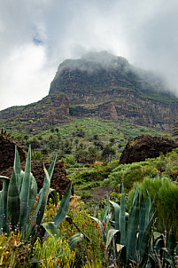 Masca - Tenerife