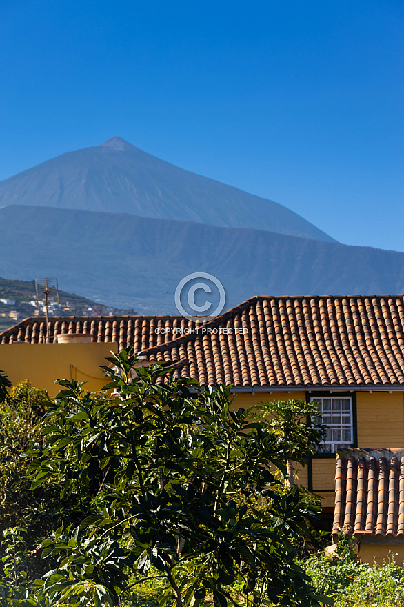 Tenerife: La Victoria de Acentejo