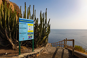 Puerto de Puntagorda - La Palma