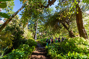 Hijuela del Botánico - La Orotava - Tenerife