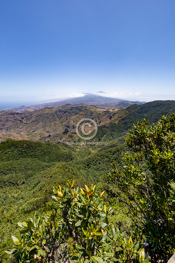 Mirador Pico del inglés - Anaga - Tenerife