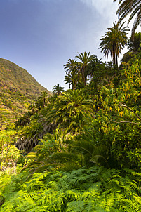 La Gomera: Hermigua Roques San Pedro