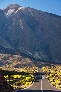 Tenerife: Las Cañadas, Tajinates