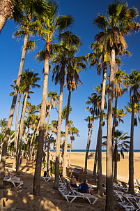 Fuerteventura: Sotavento Beach