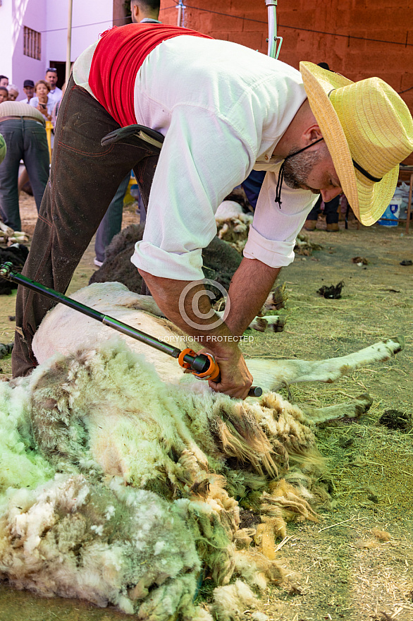 Fiesta de la lana - Caideros