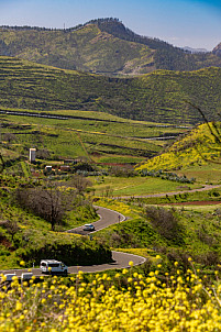 Green Gran Canaria
