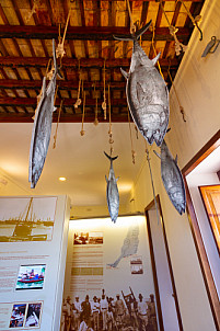 Museo de la Pesca Tradicional
