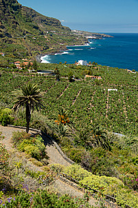 Rambla de Castro - Tenerife