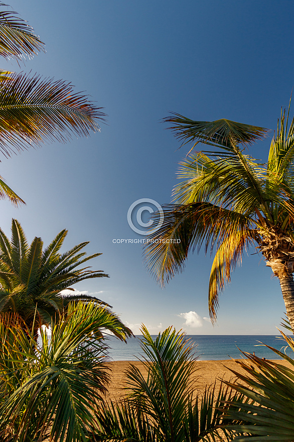 Playa Grande - Playa Blanca - Lanzarote
