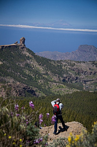 HIker looking at Roque Nublo and the Teide on Tenerife