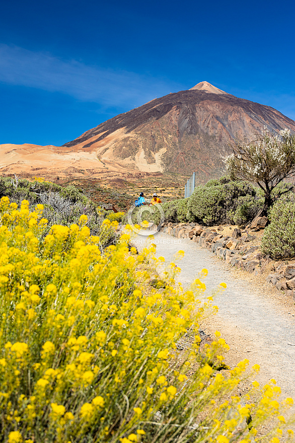 Tenerife: Centro de Visitantes El Portillo