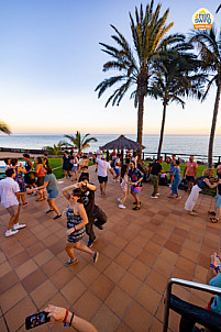 Mojo Swing Tropical Fest - Welcome