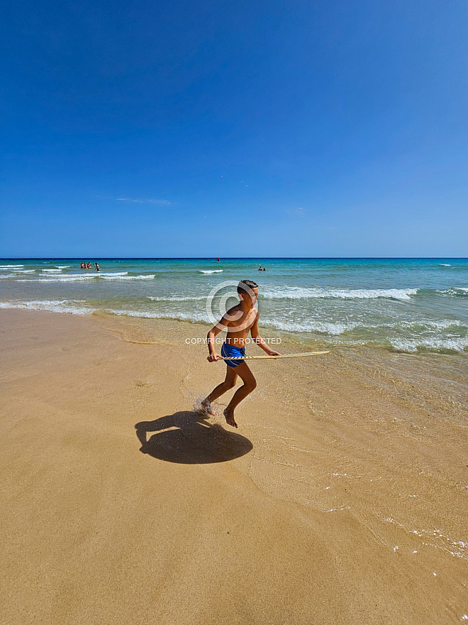 Fuerteventura: Surf