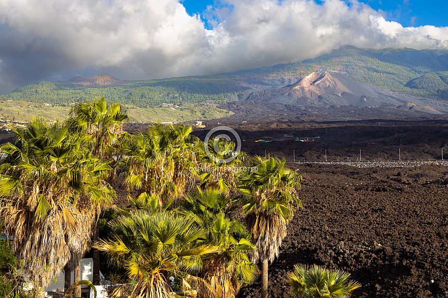 La Palma: Tajogaite