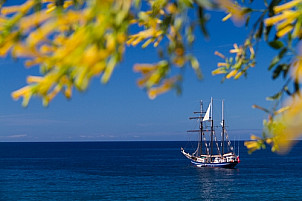 Sailing yacht near the coast