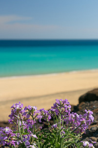 Playa de Mal Nombre - Fuerteventura