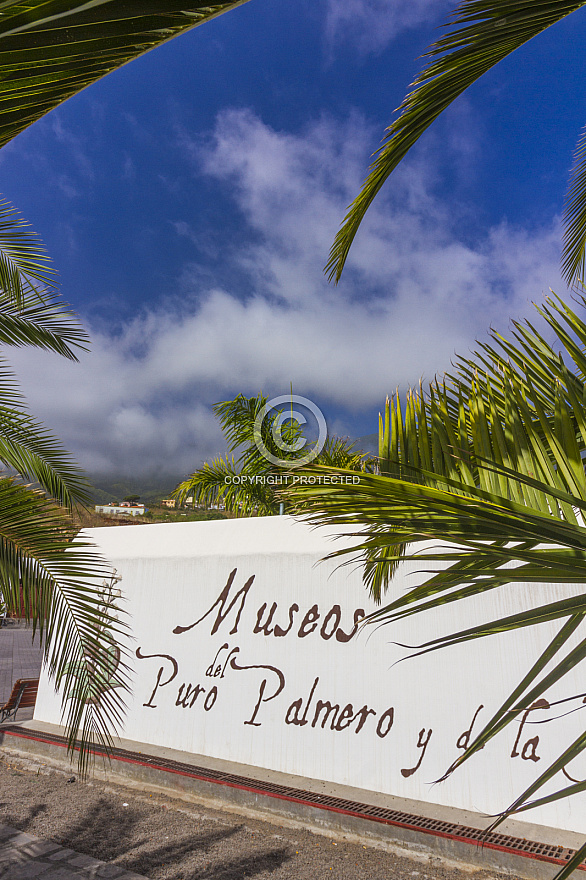Museo del Puro Palmero La Palma