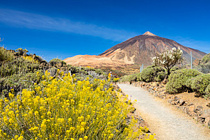 Tenerife: Centro de Visitantes El Portillo
