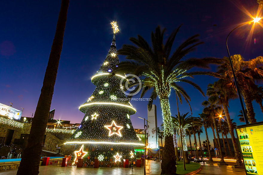 Christmas tree Las Palmas Gran Canaria