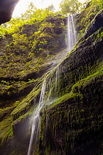 Bosque de los Tilos (Cascada - Waterfall) - La Palma
