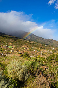 Tenerife: Arafo